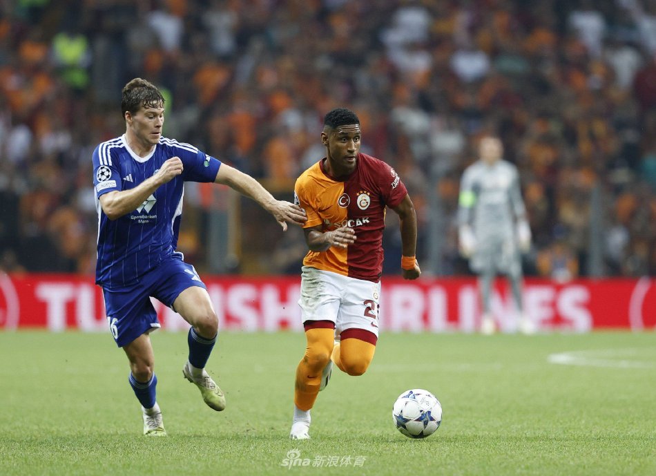 他们可能为 他们可能为