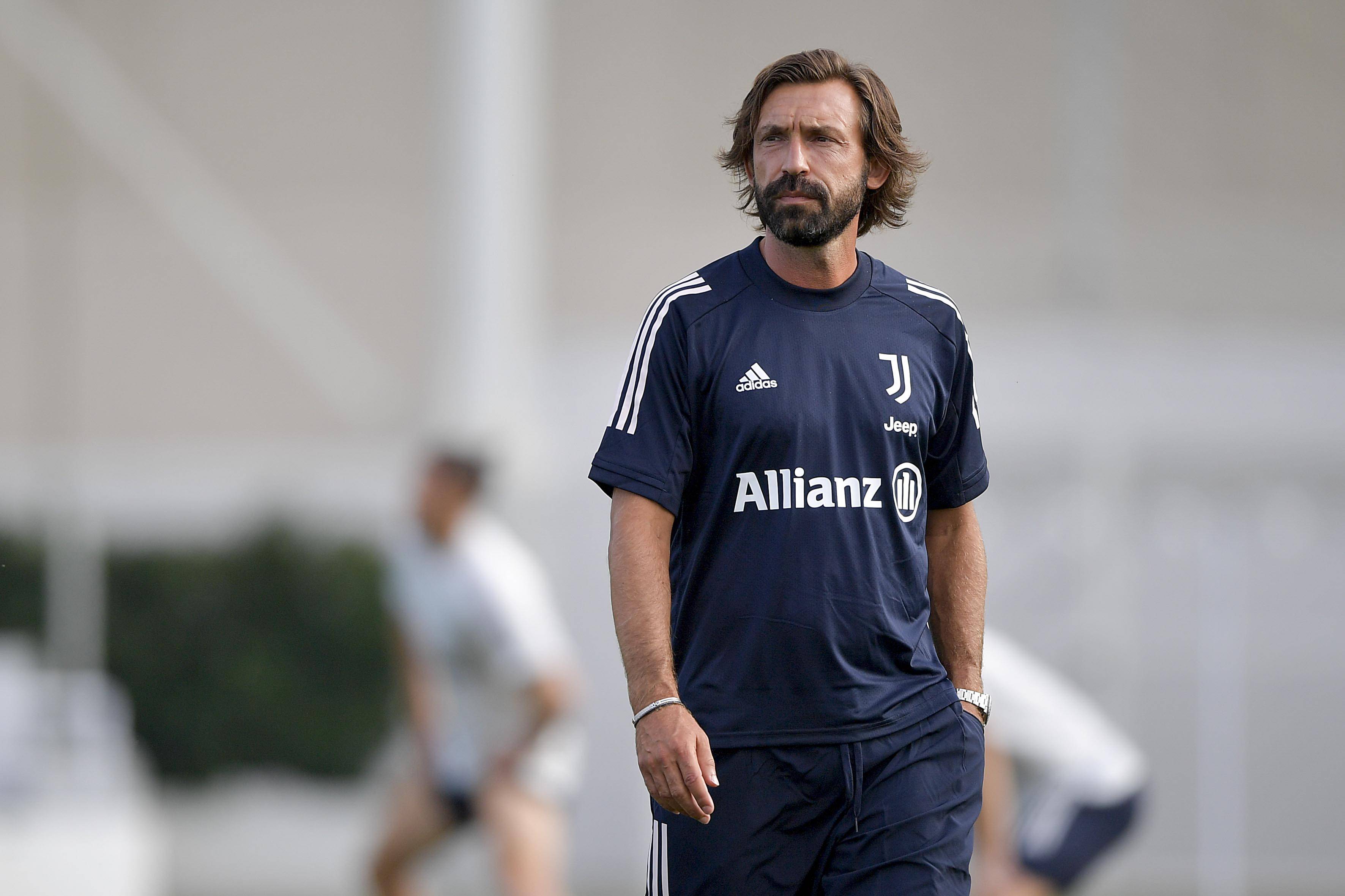 供了广阔的 供了广阔的